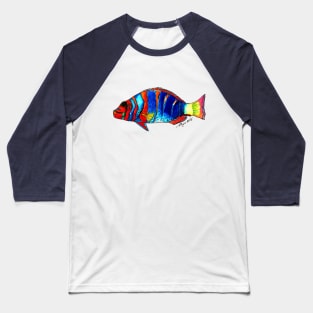 "Harlequin Tuskfish" Baseball T-Shirt